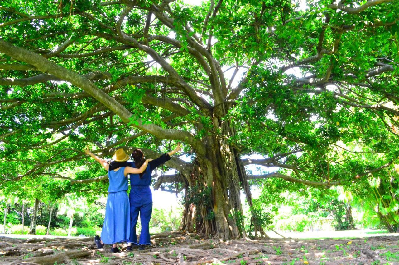 Amami-Green-Garden Ngoại thất bức ảnh