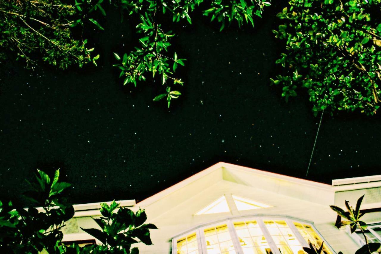 Amami-Green-Garden Ngoại thất bức ảnh